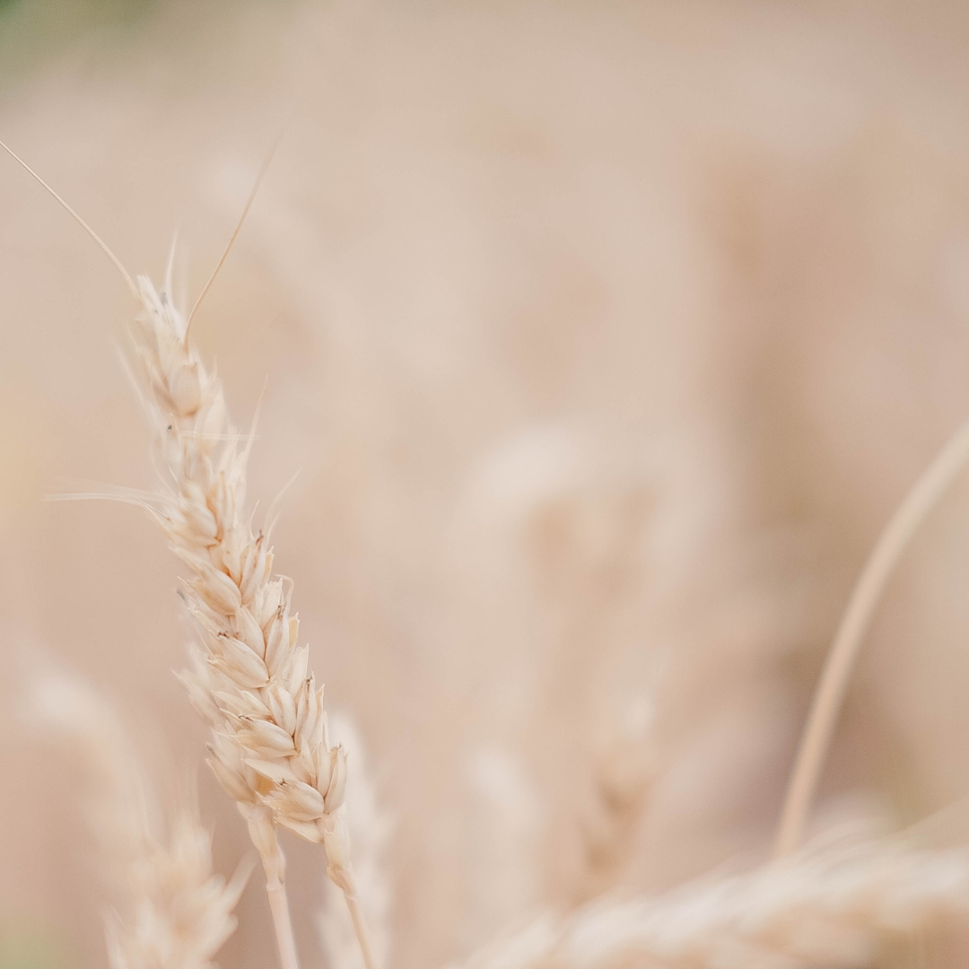 Gratis meditaties bij Studio Aluna